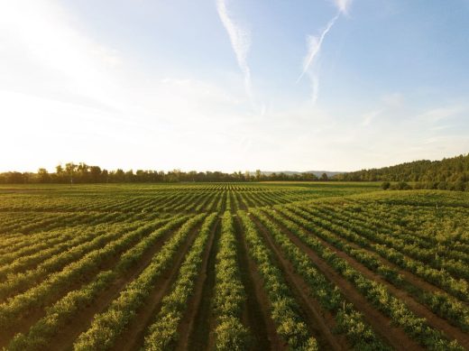 iot-in-agriculture-land